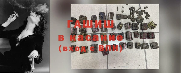 индика Верхний Тагил