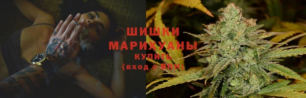 индика Верхний Тагил