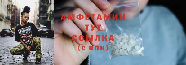 индика Верхний Тагил