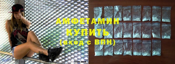 индика Верхний Тагил