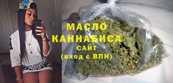 индика Верхний Тагил