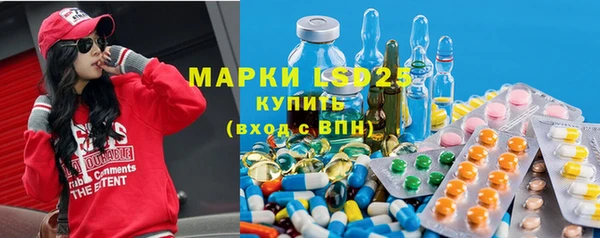 индика Верхний Тагил
