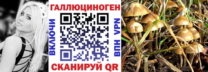 Галлюциногенные грибы GOLDEN TEACHER  это клад  Кашира 